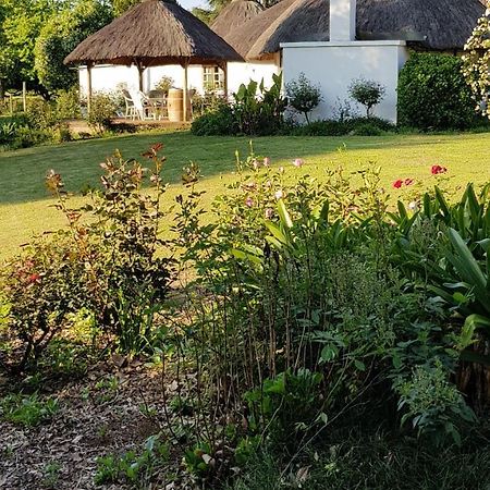 Lions River Piccadilly Farm Cottages מראה חיצוני תמונה