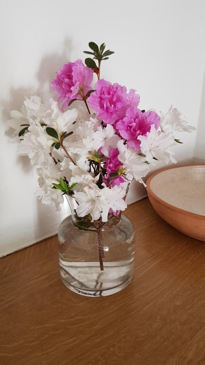 Lions River Piccadilly Farm Cottages מראה חיצוני תמונה
