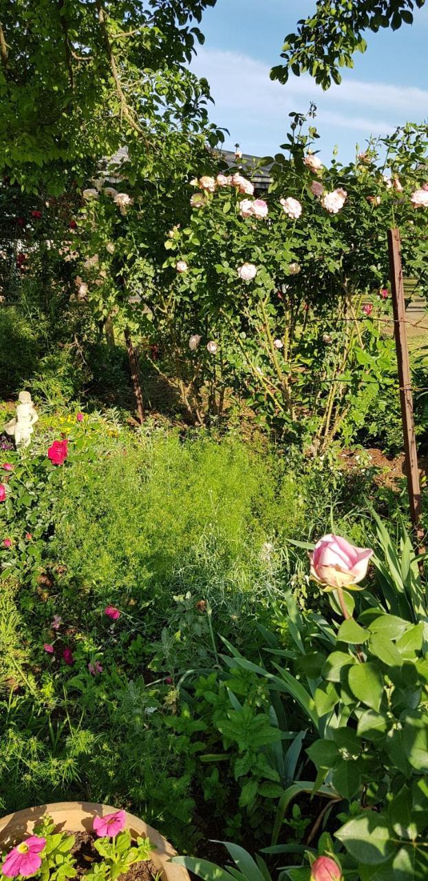 Lions River Piccadilly Farm Cottages מראה חיצוני תמונה