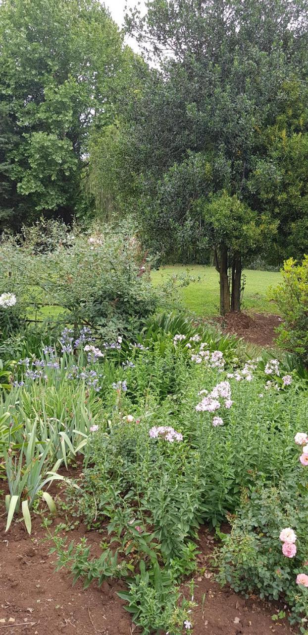 Lions River Piccadilly Farm Cottages מראה חיצוני תמונה